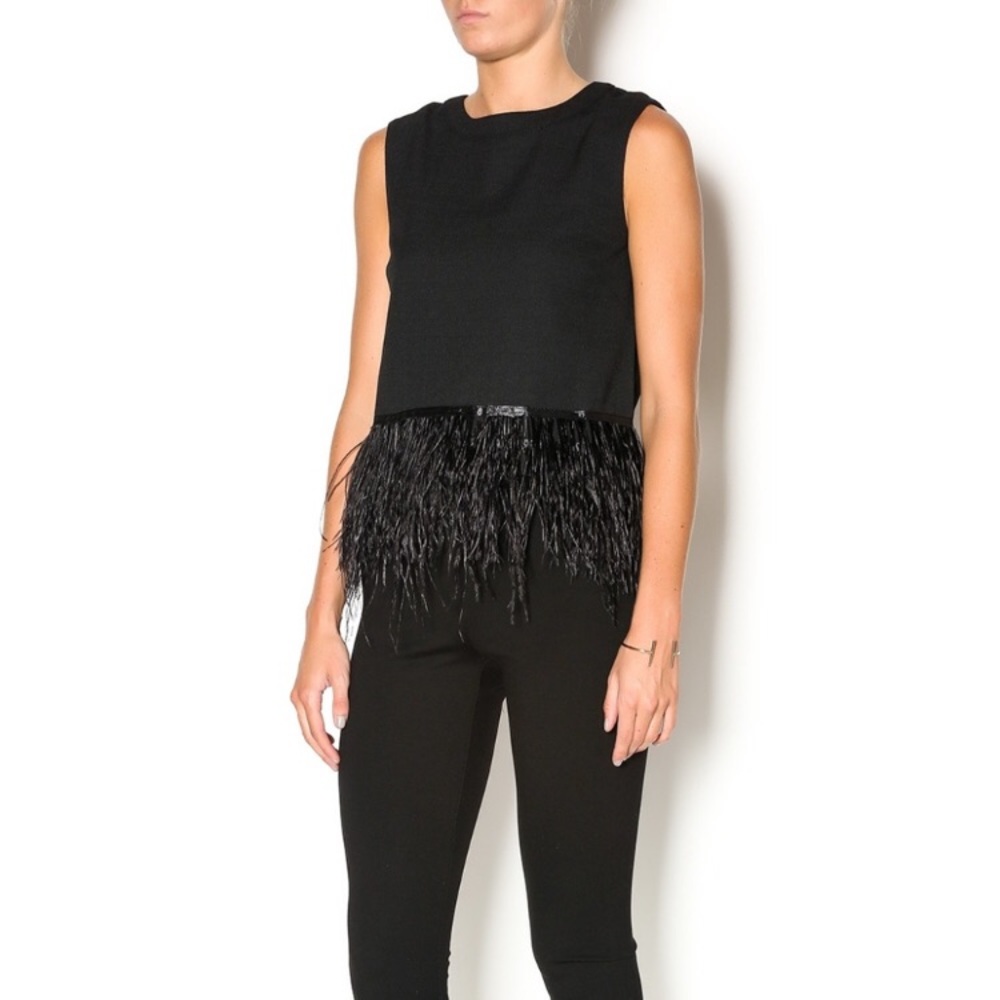 🎉HP🎉Endless Rose feather top